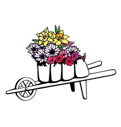 Wheelbarrow full of flowers vector image