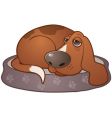 Sleepy hound dog vector image