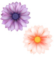Gerber Background vector image