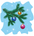 Christmas tree branch vector image