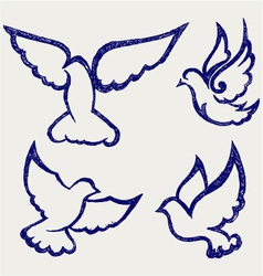 Dove symbol Dove symbol vector image