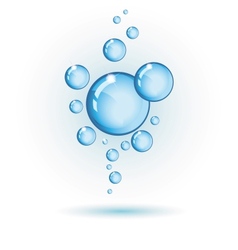 Bubbles isolated on white vector image
