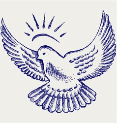 Dove symbol vector image