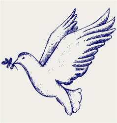 Dove symbol Dove symbol vector image