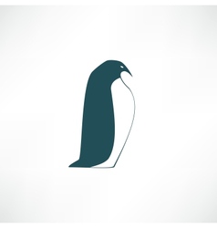 Penguin Penguin vector image