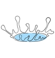The splash vector image