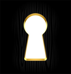 Keyhole vector image