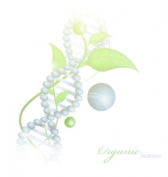 Organic science vector image