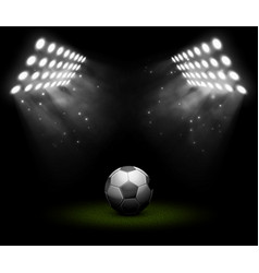 Soccer ball vector image