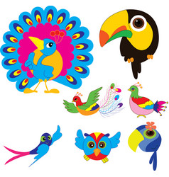 Cartoon birds vector image