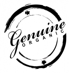 Genuine stamp vector image
