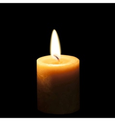 Realistic burning candle eps10 Isolated vector image