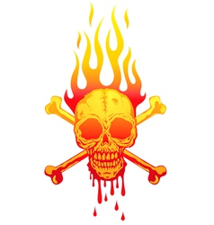 Skull fire white vector image