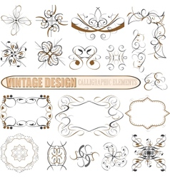 Decorative design elements vector image