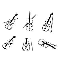 Classical violins instruments vector image