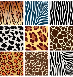 Animal skins vector image