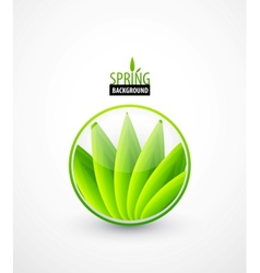 Green leaves spring concept vector image