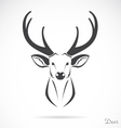 Deer vector image
