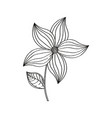 Flower ornament decoration sketch vector image