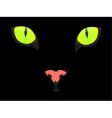 Black cat vector image