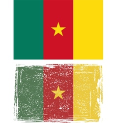 Cameroonian grunge flag vector image