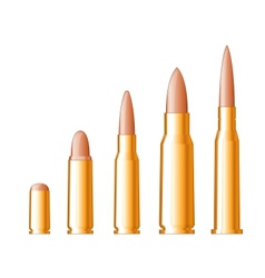 Set of gun bullets vector image