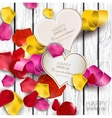 Collection of gift cards with ribbons background vector image