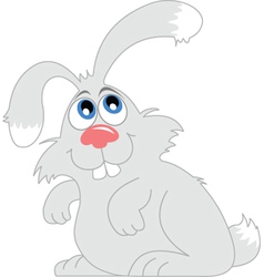 Gray Rabbit vector image
