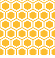 Pattern with honeycombs vector image