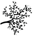 Nature tree vector image