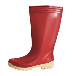 Rubber boot vector image
