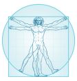 The Vitruvian man vector image