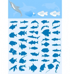 Fishes vector image