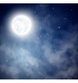 Night sky background vector image