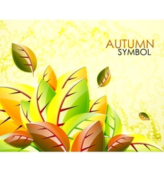Autumn leaves background Autumn leaves background vector image