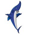 Shark vector image