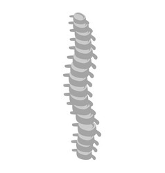 Spine icon Royalty Free Vector Image - VectorStock