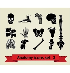 Anatomy icons set 2 vector image