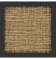 Organic weave pattern vector image