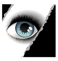 One eye 2 vector image