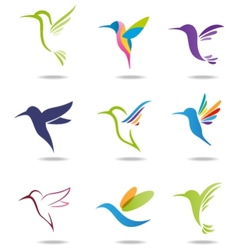 Hummingbird logo vector image
