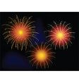 Firework explosion vector image