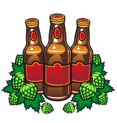 Beer bottles vector image
