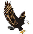 Eagle vector image