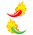 Chili fire vector image