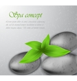 Spa stone with leaves vector image