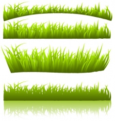 Grass vector image