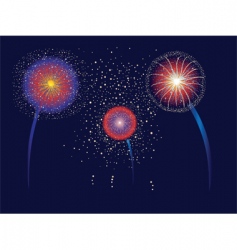 Fireworks vector image