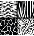 Animal print pattern image Animal print pattern image vector image
