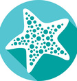 Starfish Icon vector image